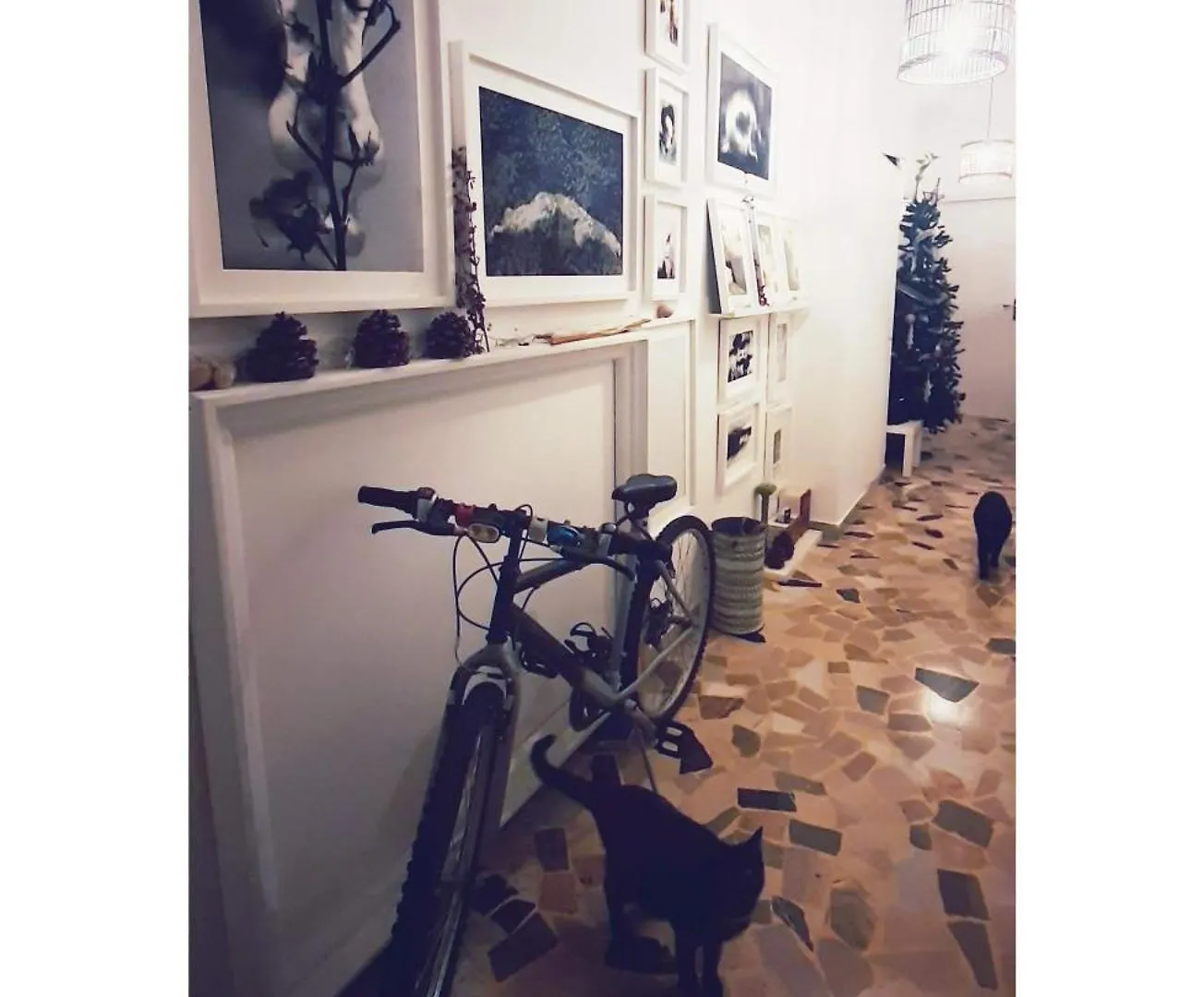 Bed and Breakfast Ab Ovo Cagliari Bed & Breakfast