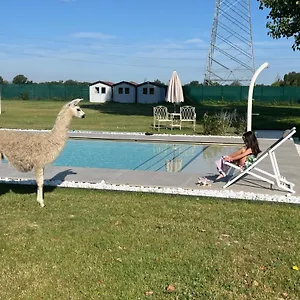 check availability