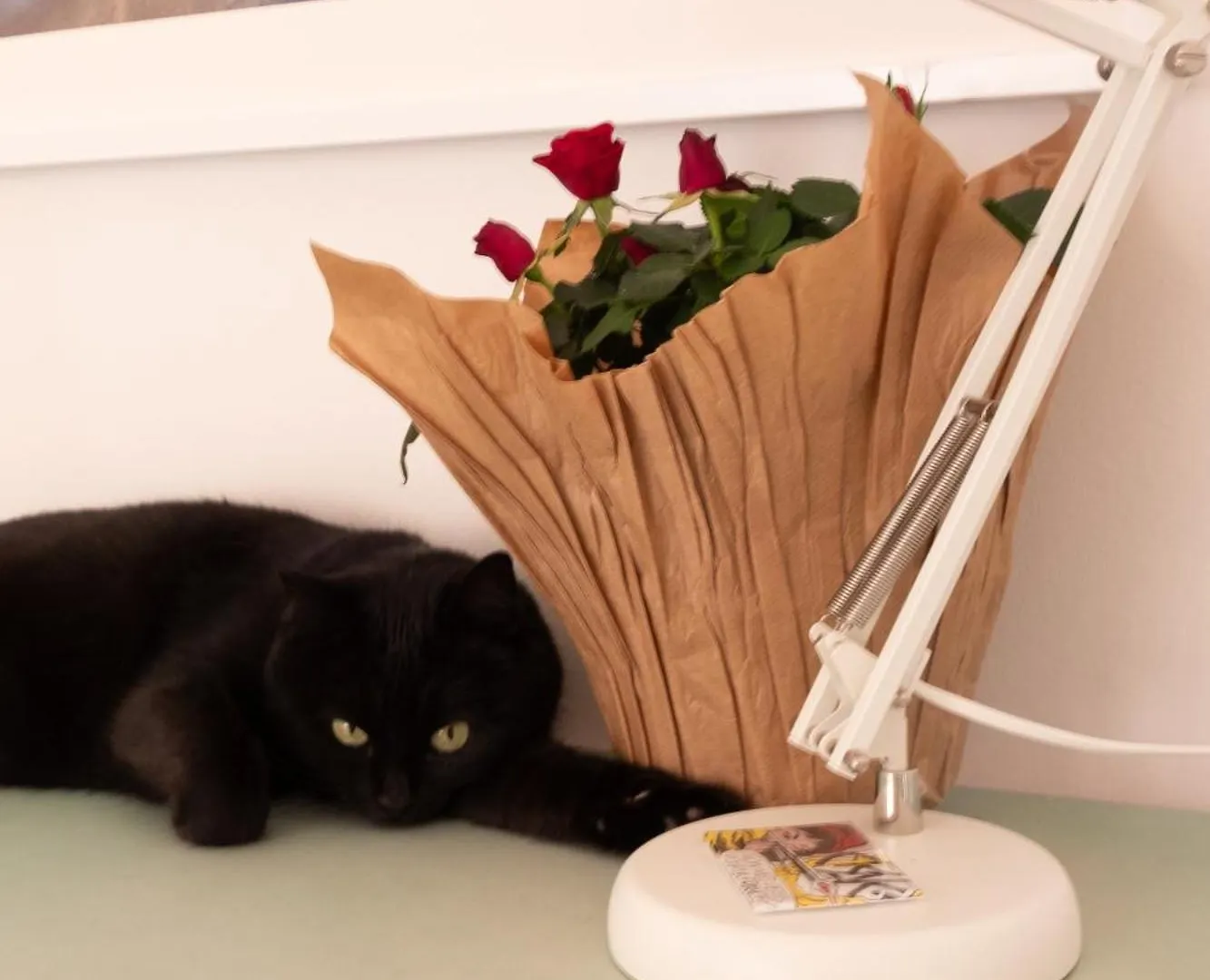 Ab Ovo Bed and Breakfast Κάλιαρι